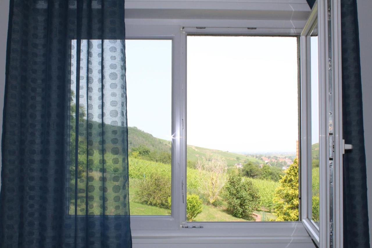 Superbe logement de 80m2 à L'orée des vignes Wangen Exterior foto