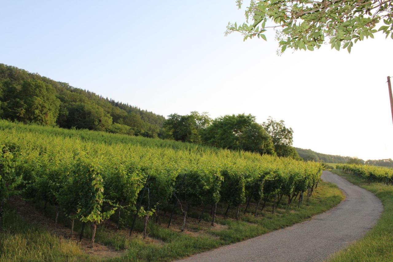 Superbe logement de 80m2 à L'orée des vignes Wangen Exterior foto